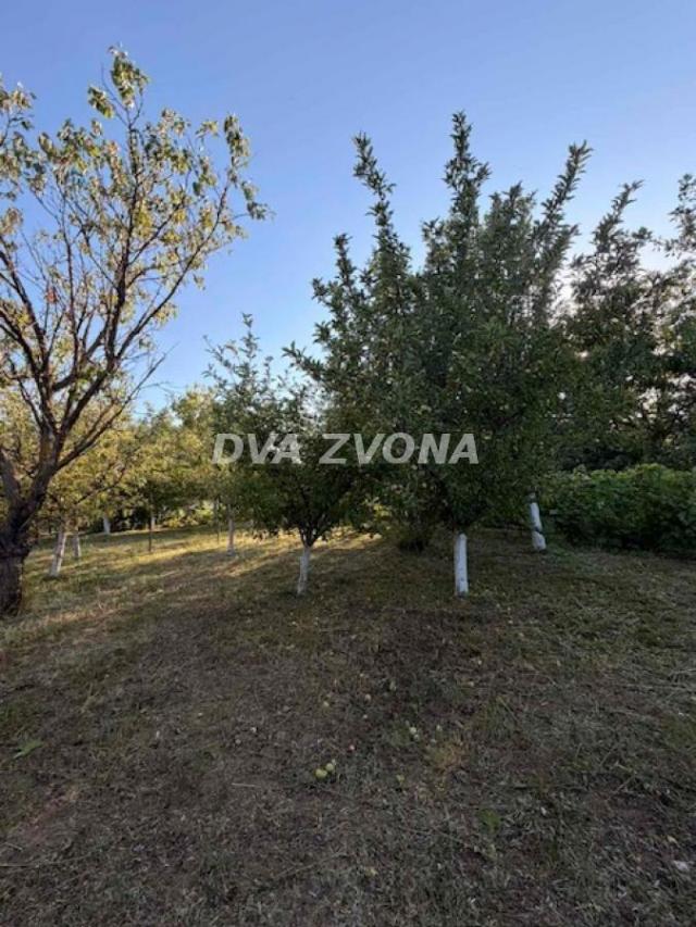 Vikendica sa dve stambene jedinice u Čortanovcima – idealna za odmor i uživanje u prirodi