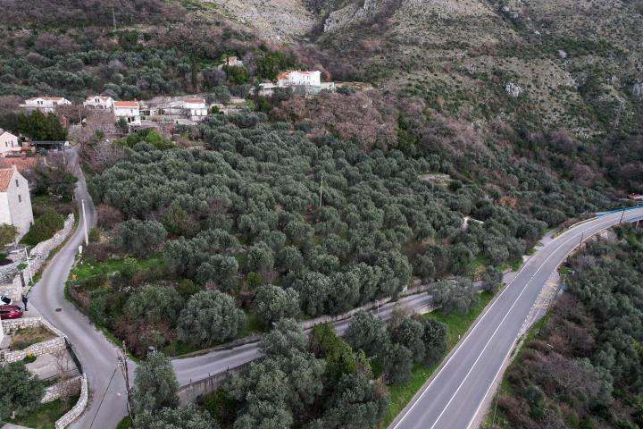 FOR SALE – EXCLUSIVE BUILDING LAND IN REŽEVIĆI, MONTENEGRO