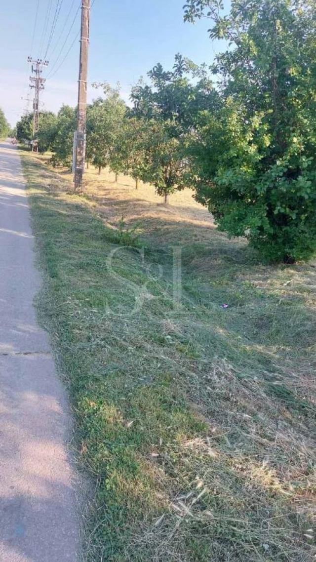PLAC U S. MILETIĆU