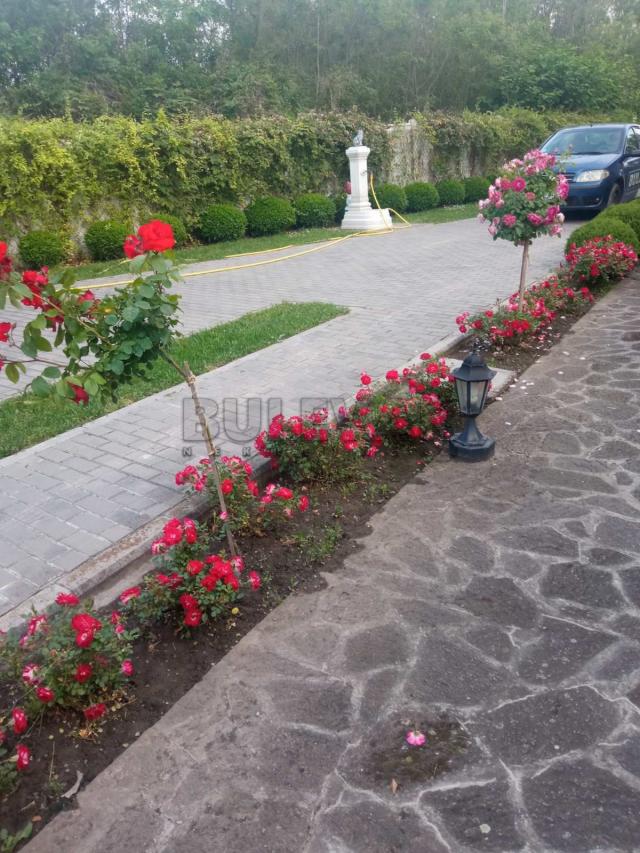 Lux seosko domaćinstvo u selu Markovac, kod Velike Plane, kuća 235 m2, 6 pomoćnih objekata, plac 329