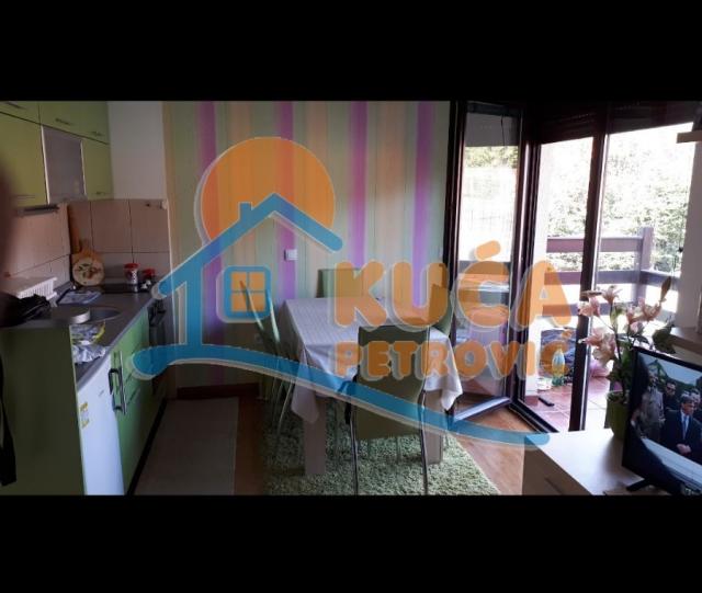 Zlatibor, apartman 2.5, Obudojevica