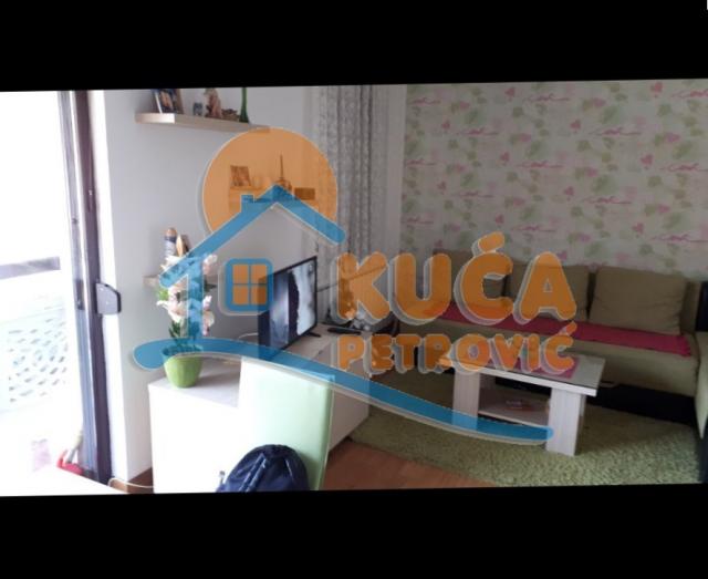 Zlatibor, apartman 2.5, Obudojevica