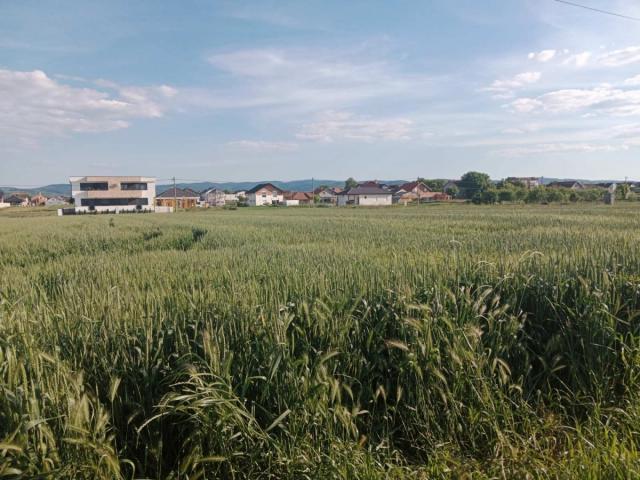 GRAĐEVINSKI PLAC! Mogućnost pravljenja dve urbane vile !