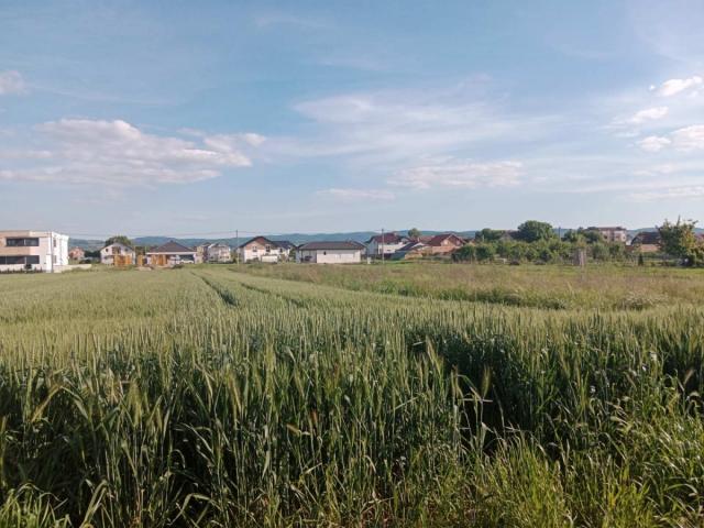 GRAĐEVINSKI PLAC! Mogućnost pravljenja dve urbane vile !