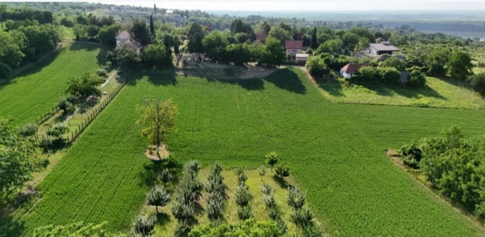 Plac Krcedin, put Janda 7700m2+materijal za izgradnju