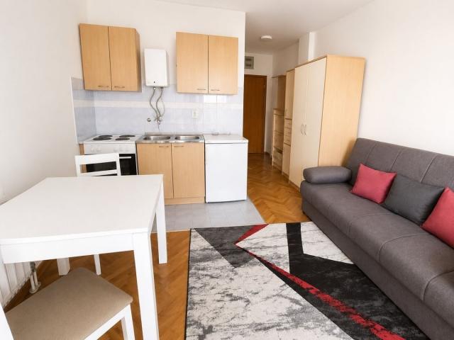 GRBAVICA – DANILA KIŠA, GARSONJERA SA TERASOM – 260 €