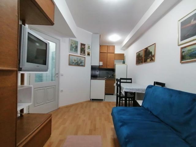 Namešten jednoiposoban stan 30m2 u vili na Telepu - Cvećarska