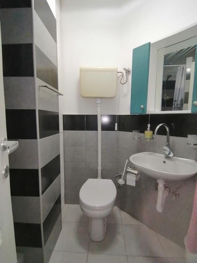 Namešten jednoiposoban stan 30m2 u vili na Telepu - Cvećarska