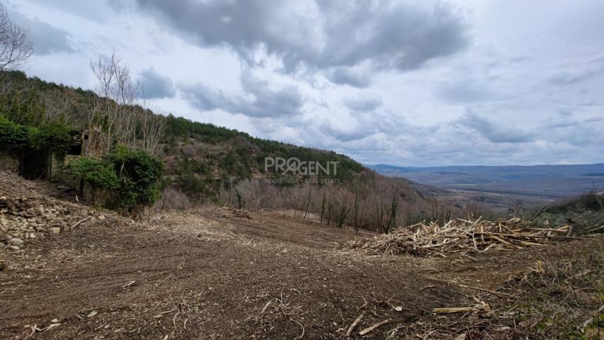 ISTRA, ZAVRŠJE, NAPUŠTENO SELO, PRODAJE SE