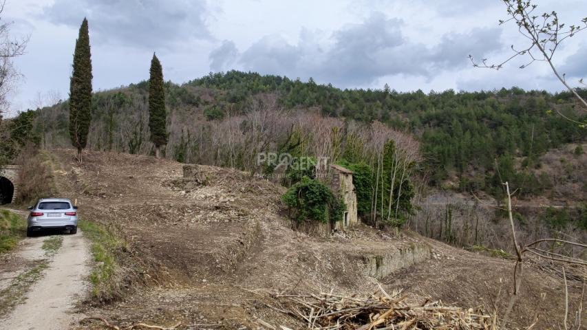 ISTRA, ZAVRŠJE, NAPUŠTENO SELO, PRODAJE SE