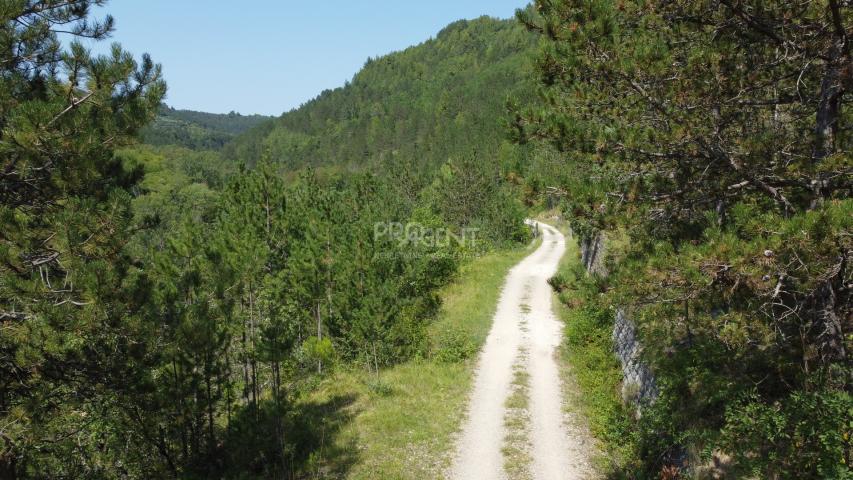 ISTRA, ZAVRŠJE, NAPUŠTENO SELO, PRODAJE SE