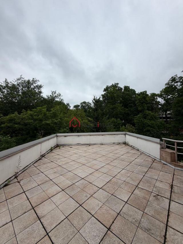 Most Beautiful House in real Dedinje