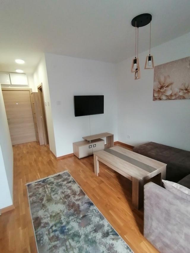 Namešten dvosoban stan 45m2, novije stvari - Olge Hadžić