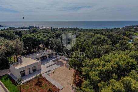 New modern house a step away from the sea in Rovinj