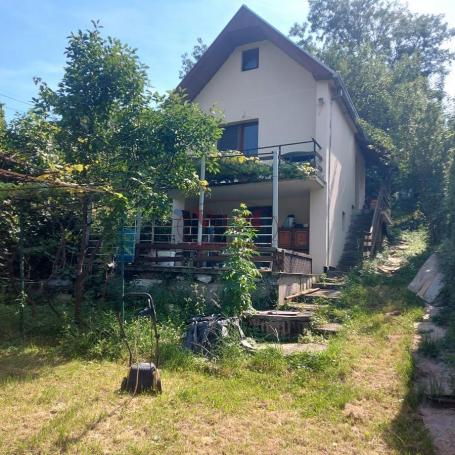 Novi Sad, Sremska Kamenica, kuća u oazi zelenila