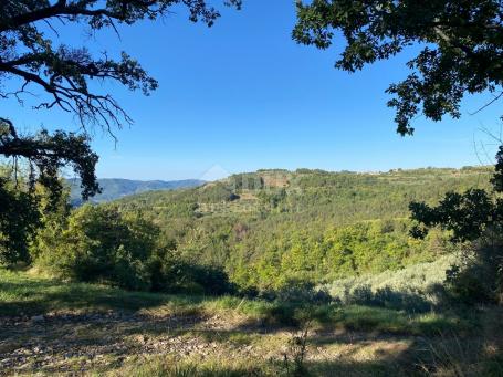 ISTRIA, DRAGUĆ - building plot 2,257 for a residential building - apartments / apartments / family h