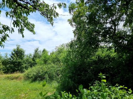 ISTRIA, LABIN - Building land in a quiet settlement