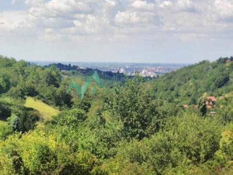  Prelepi placevi iznad Sremske kamenice sa pogledom na Novi Sad! 3. 000m2. 