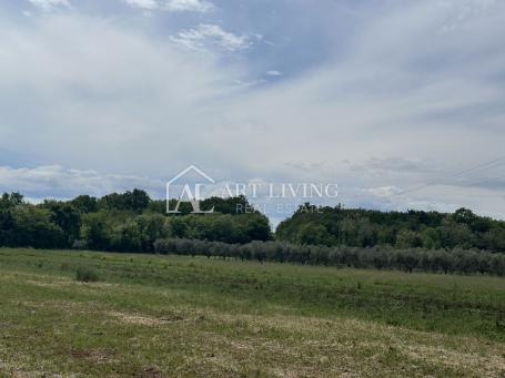 Istria, Umag - surroundings - beautiful agricultural land surrounded by greenery