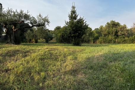 Zadar, Kožino građevinsko zemljište na prestižnoj lokaciji s pogledom na more 487 m2