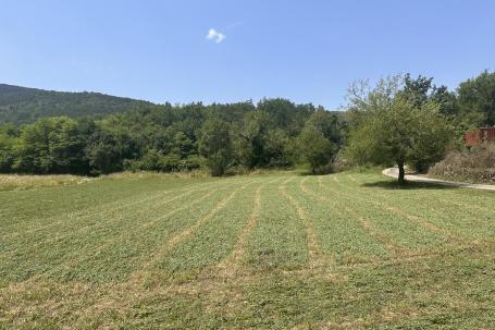 Istra, Žunti, veliko građevinsko zemljište s pogledom na Kaštel