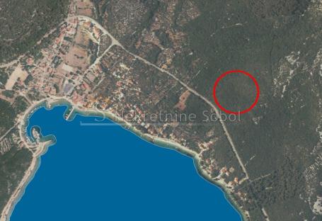 Martinscica, Island Cres - Forest, 15800 m2