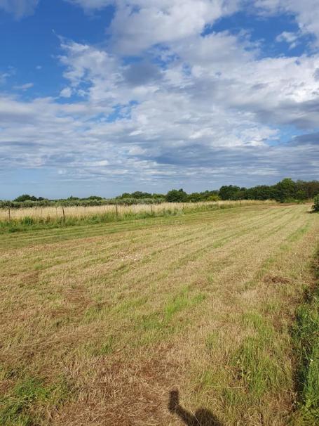 ISTRA, LIŽNJAN Građevinsko zemljište u Muntiću 900 m2