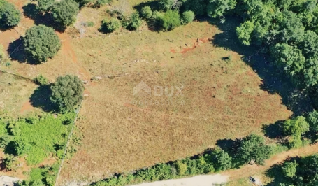 ISTRIA, VIŠNJAN - The last building plot in the building area of a quiet settlement