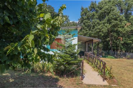 Charming house surrounded by greenery in Loborica!