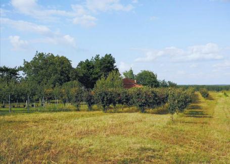 Prvoklasno zemljište sa pogledom na Dunav