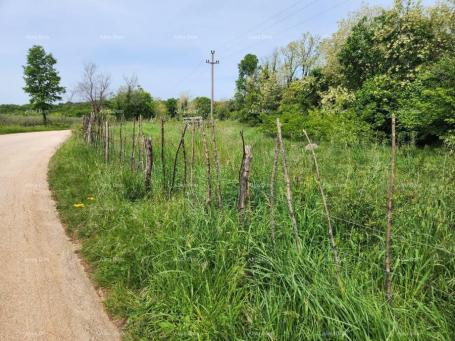 Građevinsko zemljište Prodaje se građevinsko zemljište, 12000m2, Sveti Ivan