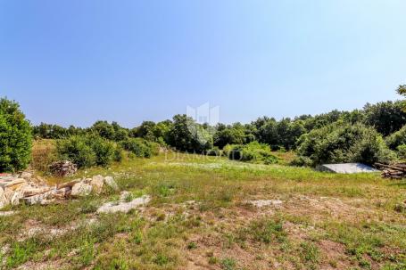 Rovinj, surroundings, spacious land for the construction of several buildings