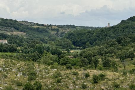 Istra, Buje, Moderna dvojna kuća s prekrasnim pogledom na Momjan 