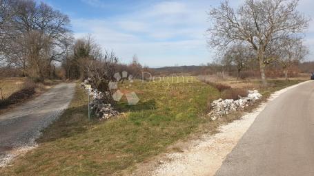 Land Balići I, Žminj, 4.744m2