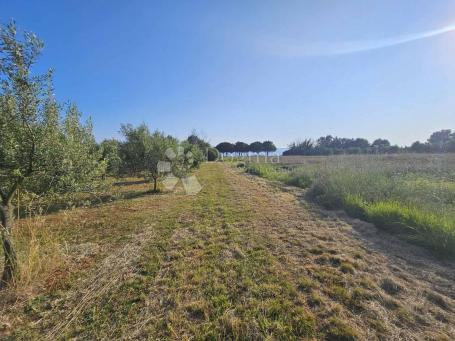 Land Umag, 8.400m2