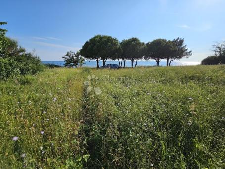 Ekskluzivno zemljište uz more blizu Savudrije s potencijalom za turistički kompleks i kamp