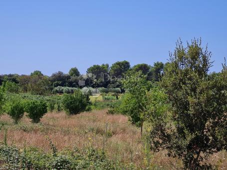 Land Veli vrh, Pula, 636m2