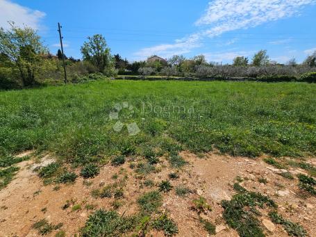 Land Kavran, Marčana, 1.542m2