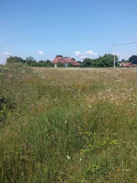 Poljoprivredno zemljište, Drača kod Kragujevca –1390 m2