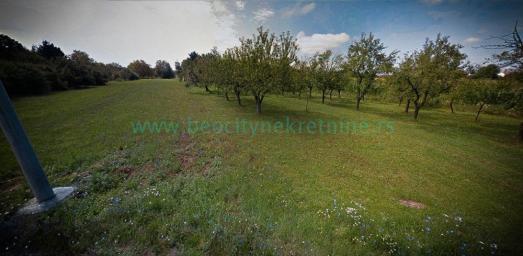 Surčin, Ključ, Majke Angeline, 56a, 168000EUR