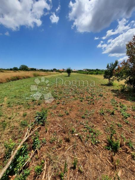 Land Muntić, Ližnjan, 904m2