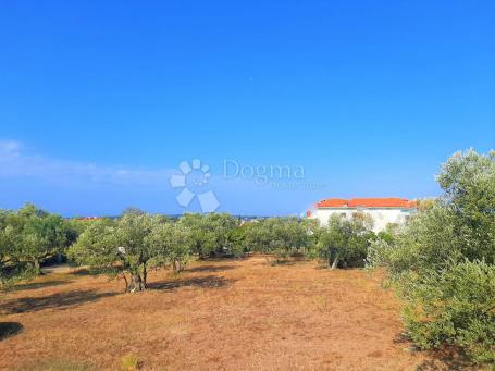 BEAUTIFUL AGRICULTURAL LAND WITH A VIEW OF BRJUNE