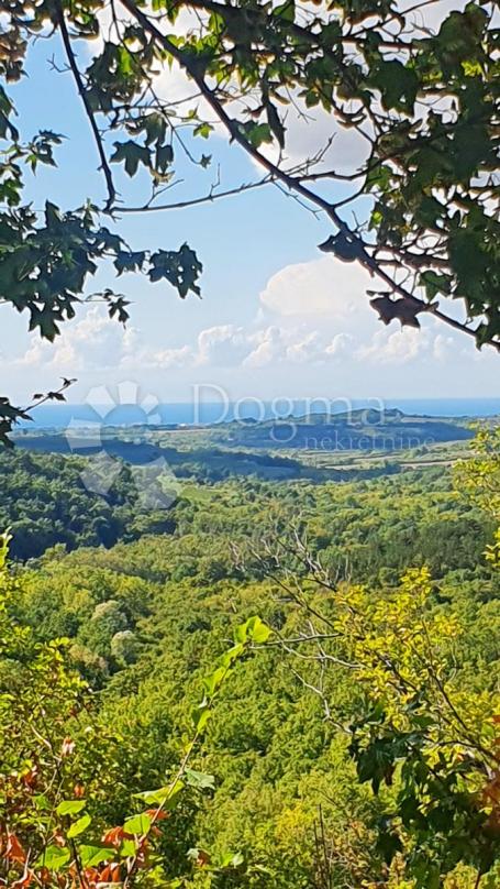 Impozantno zemljište u okolici Buja za izgradnju vila