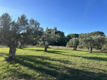 Land Galižana, Vodnjan, 3.567m2