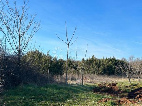 Land Filipana, Marčana, 2.654m2