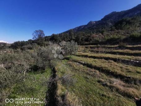 Poljoprivredno zemljište Hvar 48000m2