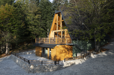 GORSKI KOTAR, RAVNA GORA - Modern A-FRAME villa with swimming pool