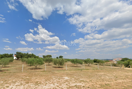 RAŠTANE, BIOGRAD - Izvanredna prilika u srcu Dalmacije: Najam zemljišta u Raštanima!