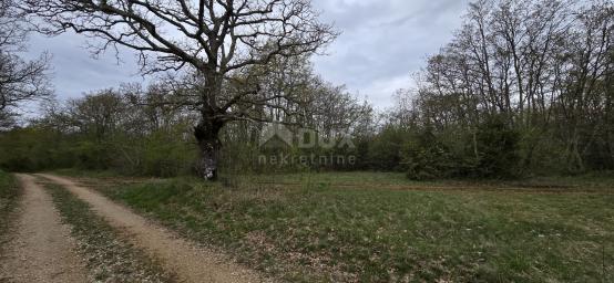 ISTRIA, KANFANAR - Spacious agricultural land of 17.5 hectares