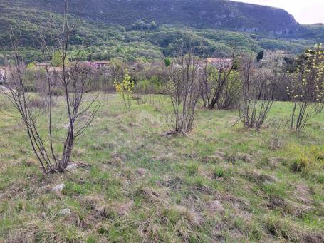 ISTRA, LUPOGLAV - Prostrano građevinsko zemljište 